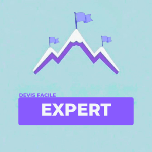 Devis Facile - plugin WordPress - automatisation de saisie de devis en ligne