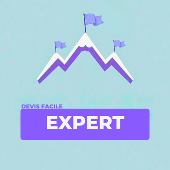 Devis Facile - plugin Wordpress - automatisation de saisie de devis en ligne